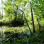 Au Bal Des Oiseaux Tatil Evi