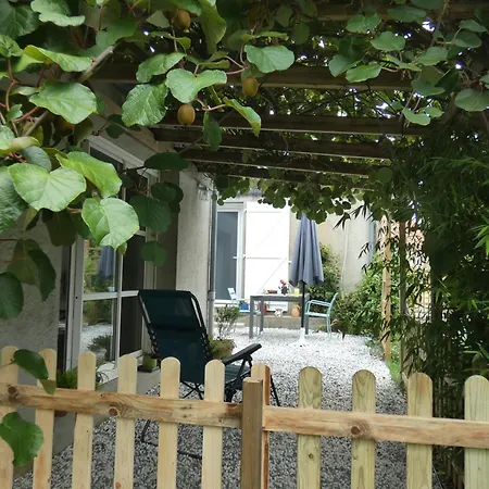 Au Bal Des Oiseaux *