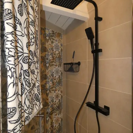 Au Bal Des Oiseaux *