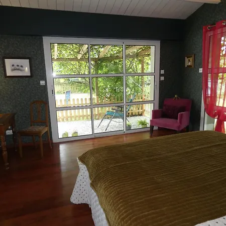 Au Bal Des Oiseaux *