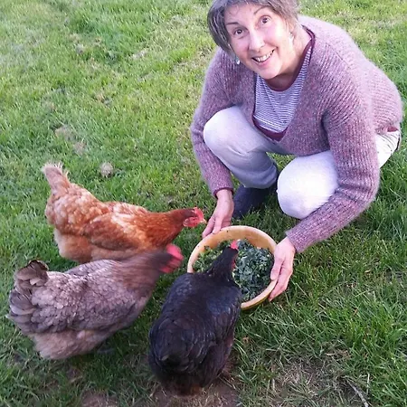 Au Bal Des Oiseaux Chavagnes-en-Paillers