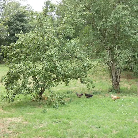 Au Bal Des Oiseaux בית נופש Chavagnes-en-Paillers