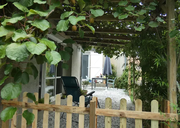 Au Bal Des Oiseaux *