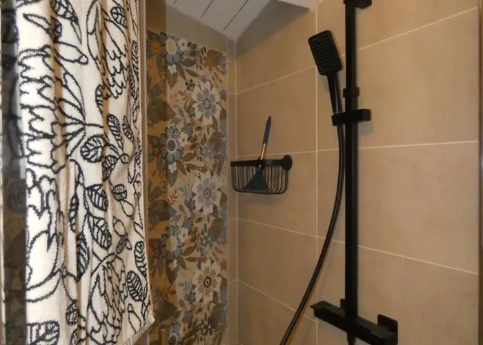 Au Bal Des Oiseaux *