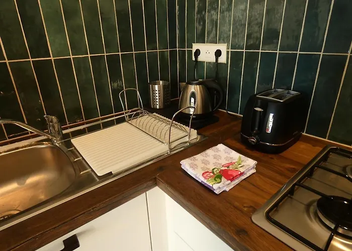 Au Bal Des Oiseaux 度假居 Chavagnes-en-Paillers