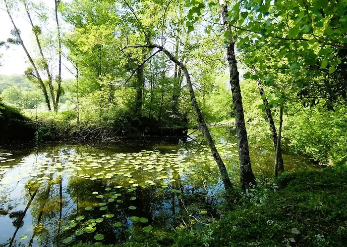Au Bal Des Oiseaux Σπίτι διακοπών