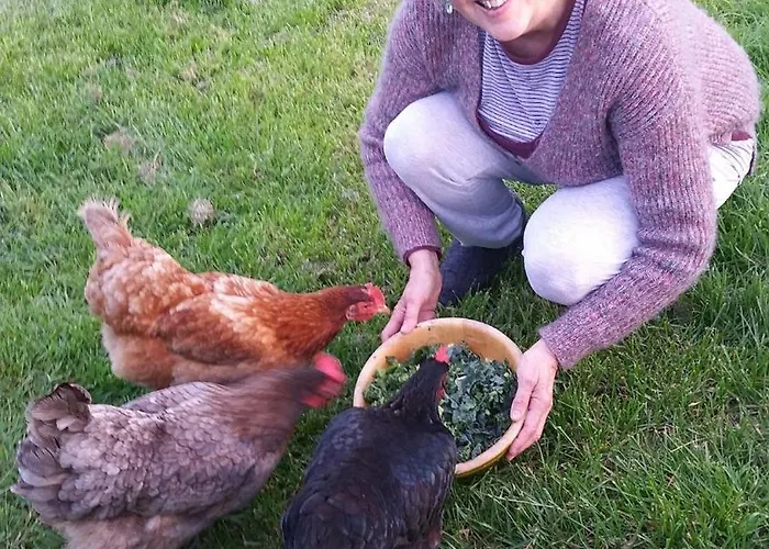 Au Bal Des Oiseaux Chavagnes-en-Paillers
