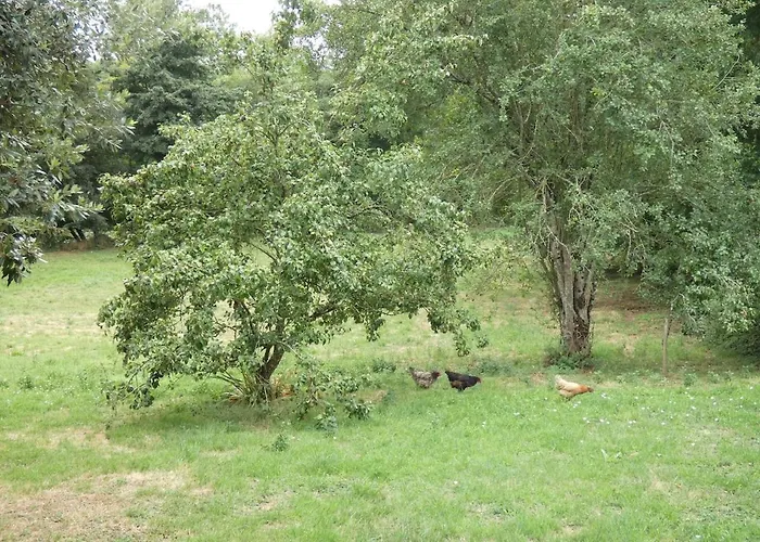 Au Bal Des Oiseaux 度假居 Chavagnes-en-Paillers