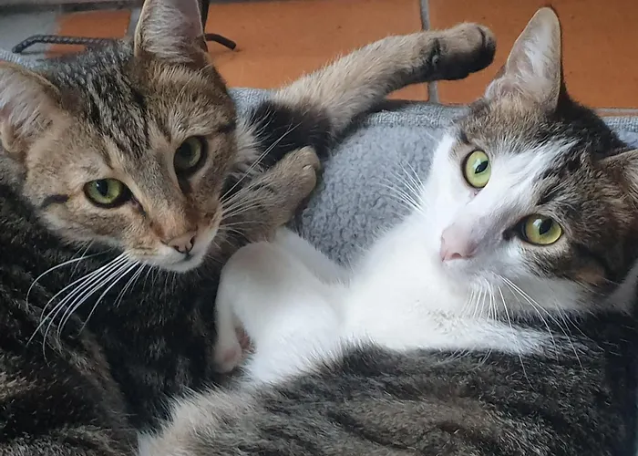 Au Bal Des Oiseaux 度假居